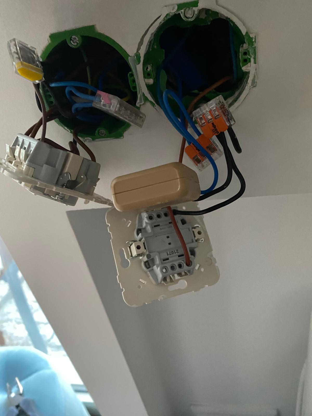 Smart Home, Safe Cat